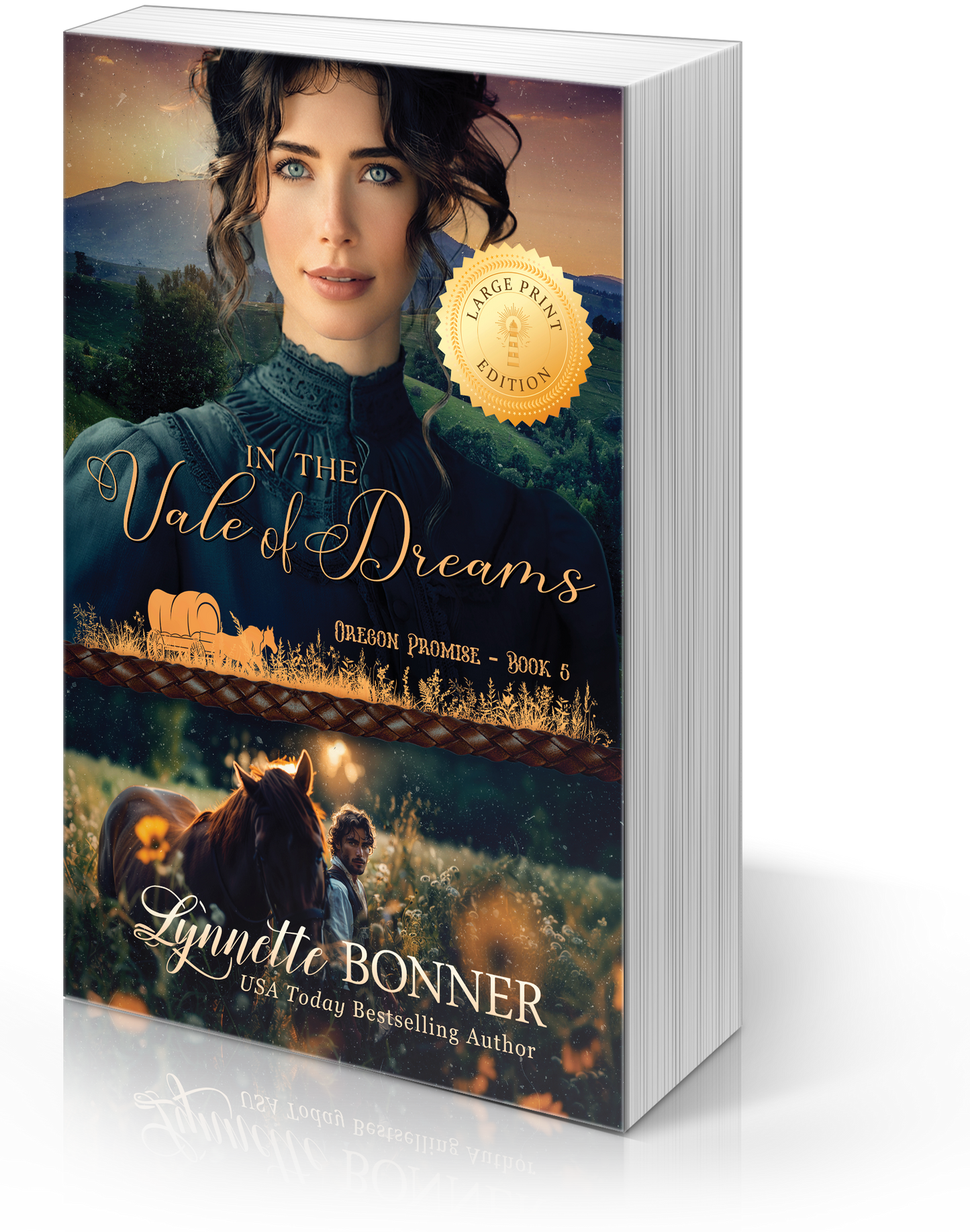 In the Vale of Dreams - Oregon Promise, Book 5 - Large Print Edition - Paperback