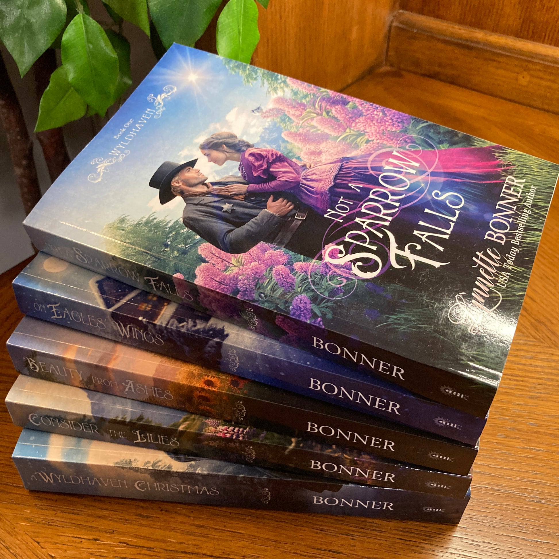 Paperbacks for Book 1-5 Wyldhaven Series - books in a stack