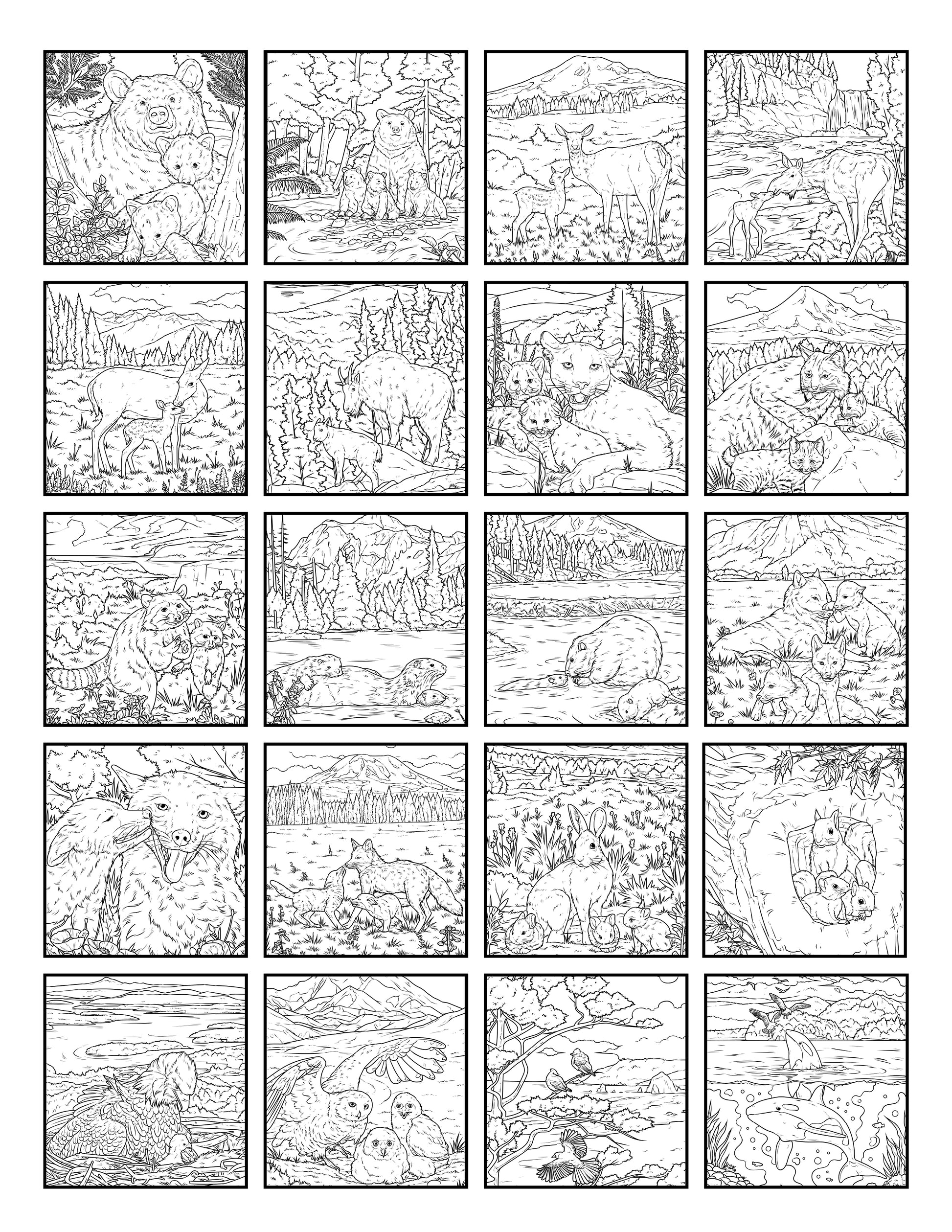 Samples of Coloring Pages from Pacific Northwest Mamas and their Babies Color Book